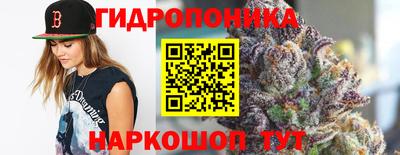 ECSTASY Кингисепп