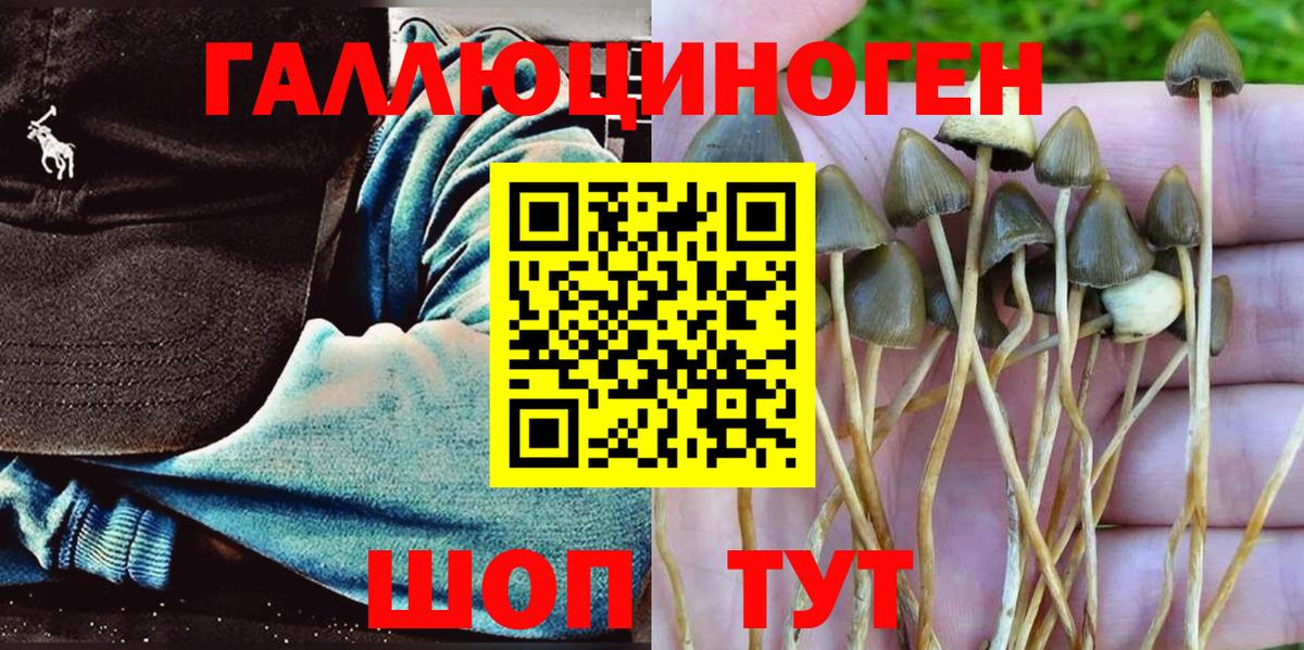 Галлюциногенные грибы мицелий Донской